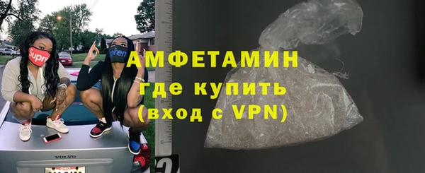 мет Алексин
