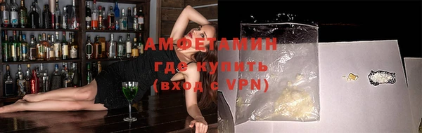 мет Алексин