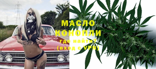 мет Алексин