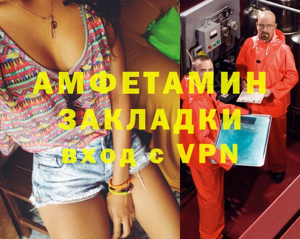 мет Алексин