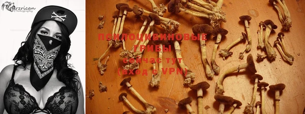 дживик Алзамай
