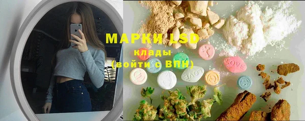 мет Алексин