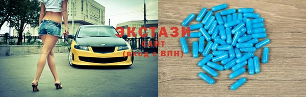 мет Алексин